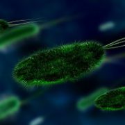 UKZN produces new medicines to fight antibiotic resistance