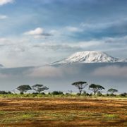 Student surgeons climb Kili for dialysis machine
