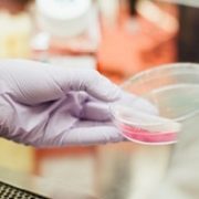 What we call postdoctoral researchers matters, scientists say