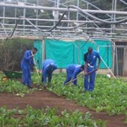 UP ready to address challenges in agriculture for next hundred years