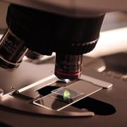 Wits University scientists highly cited worldwide