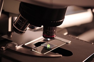Wits University scientists highly cited worldwide