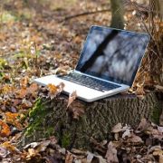 8 stats about remote work you didn’t know