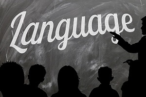 Online dictionary promotes multilingualism