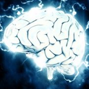AfriHub and amaBhungane Promote Critical Thinking