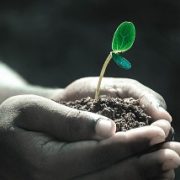Rich Skills Harvest for Africa