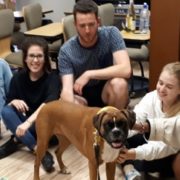 Research suggests dogs lower blood pressure in humans