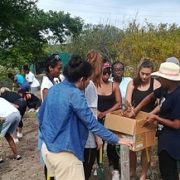 Undergraduate Diploma in Sustainable Development