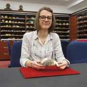 Cranium of a four-million-year-old hominin shows similarities to ours