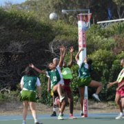Record number attend Madibaz netball tournament