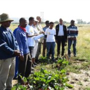 Ford Invests in Pioneering Student Initiatives