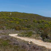 Nature conservation requires more dynamic approach to weather impacts of climate change