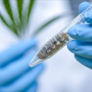 Cheeba Cannabis Academy to host world-leading Craft Cannabis Virtual Summit