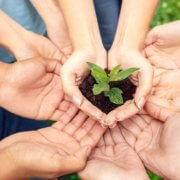 New Visions of Social Work Advocating for Environmental Justice