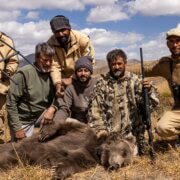UFS part of collaborative efforts to collar the Himalayan Brown Bear